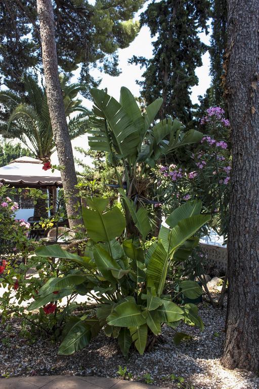 Hotel Boutique Mr Palau Verd - Adults Only Dénia